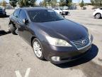 LEXUS - ES350