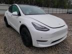 TESLA - MODEL Y