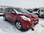 FORD - ESCAPE