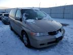 HONDA - ODYSSEY