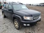 HONDA - RIDGELINE