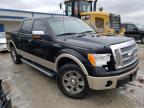 FORD - F-150