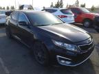 KIA - OPTIMA