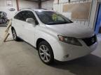 LEXUS - RX350