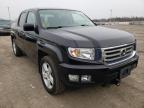 HONDA - RIDGELINE