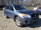 TOYOTA - RAV4
