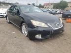 LEXUS - ES350