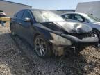 NISSAN - MAXIMA