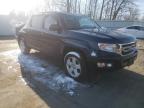 HONDA - RIDGELINE