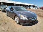 NISSAN - MAXIMA