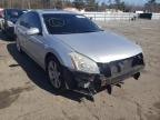 NISSAN - MAXIMA