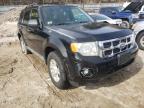 FORD - ESCAPE