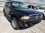 DODGE - DURANGO