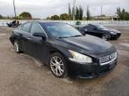 NISSAN - MAXIMA