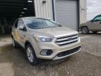 FORD - ESCAPE