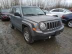 JEEP - PATRIOT