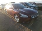 NISSAN - MAXIMA