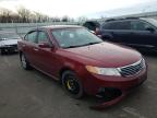 KIA - OPTIMA