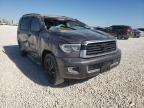 TOYOTA - SEQUOIA