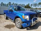 FORD - F150