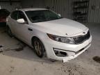 KIA - OPTIMA