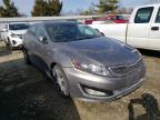 KIA - OPTIMA