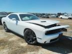 DODGE - CHALLENGER