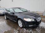 JAGUAR - XF