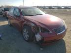 LEXUS - ES350