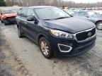 KIA - SORENTO