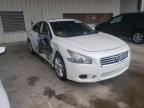 NISSAN - MAXIMA