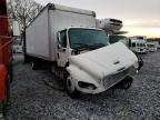 FREIGHTLINER - M2 106 MEDIUM