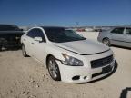 NISSAN - MAXIMA