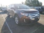 FORD - EDGE