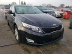 KIA - OPTIMA