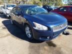 NISSAN - MAXIMA