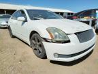 NISSAN - MAXIMA