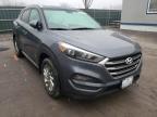 HYUNDAI - TUCSON