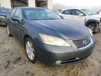 LEXUS - ES350