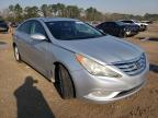 HYUNDAI - SONATA