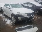 KIA - OPTIMA