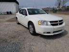 DODGE - AVENGER