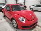 VOLKSWAGEN - BEETLE