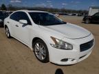 NISSAN - MAXIMA