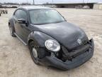 VOLKSWAGEN - BEETLE