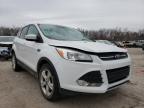 FORD - ESCAPE