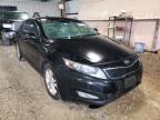 KIA - OPTIMA