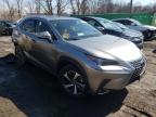 LEXUS - NX