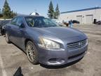 NISSAN - MAXIMA