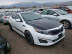 KIA - OPTIMA